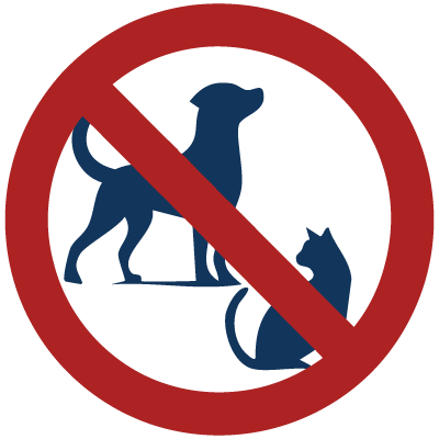 no pets
